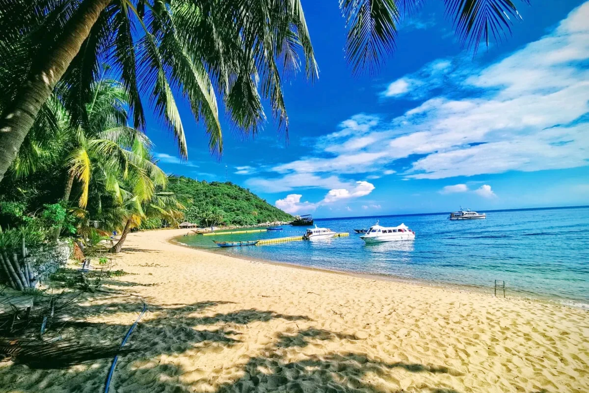 Cham Island Hoi An – Central Vietnam Guide