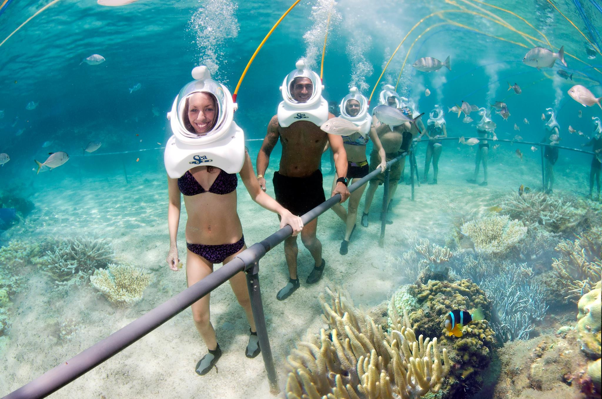 Cu Lao Cham Island, Hoi An, Vietnam – Experience walking under the sea