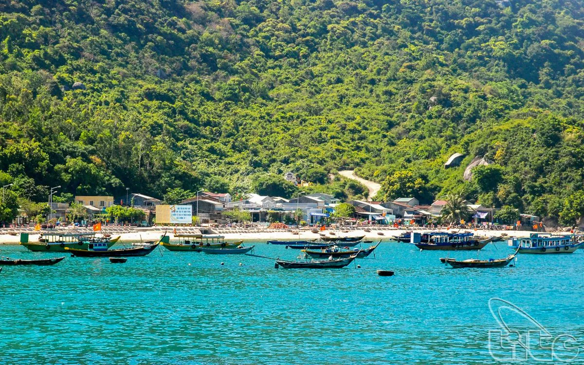 Cu Lao Cham Islands