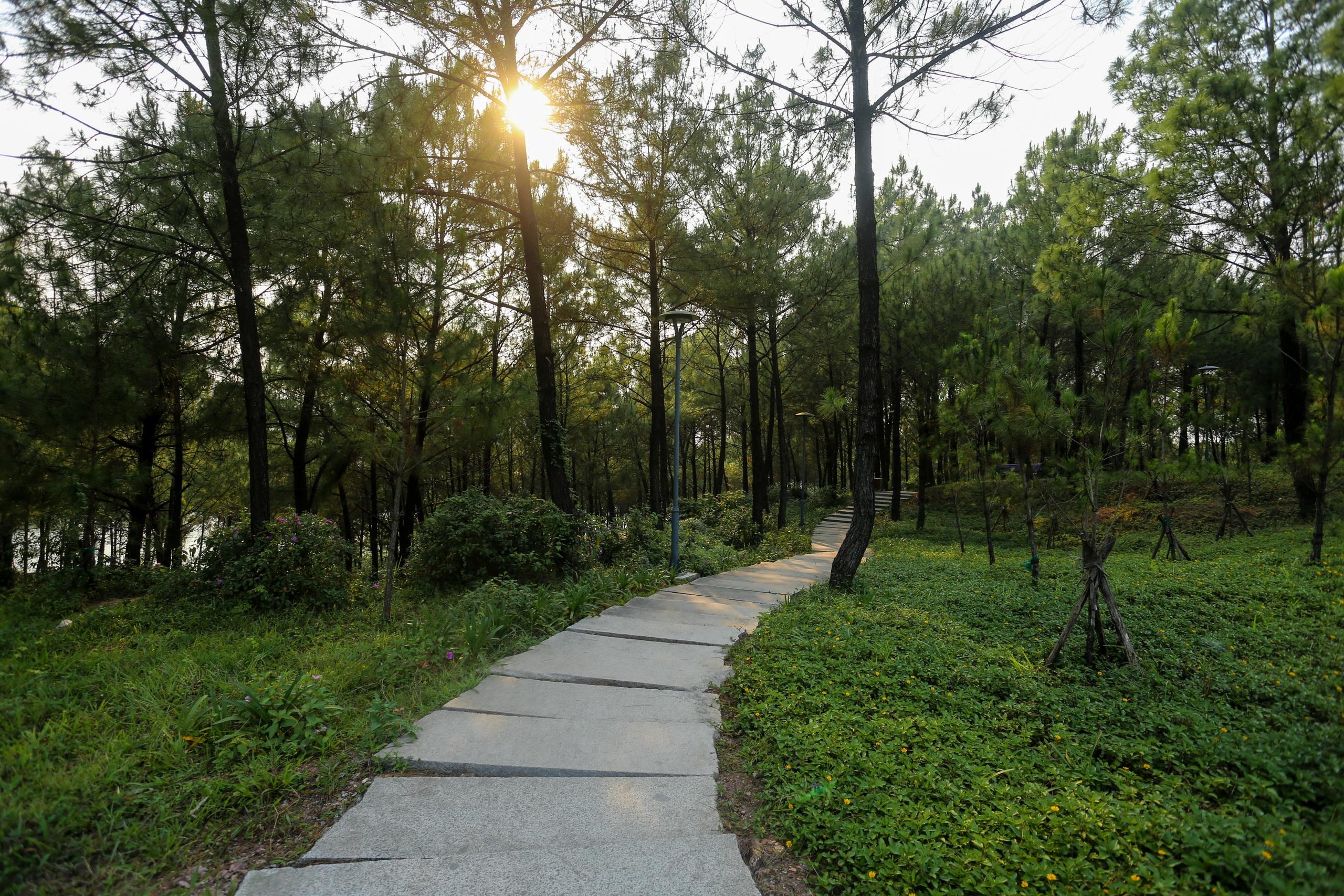 Scenic road leading to Vong Canh Hill from Hue city center