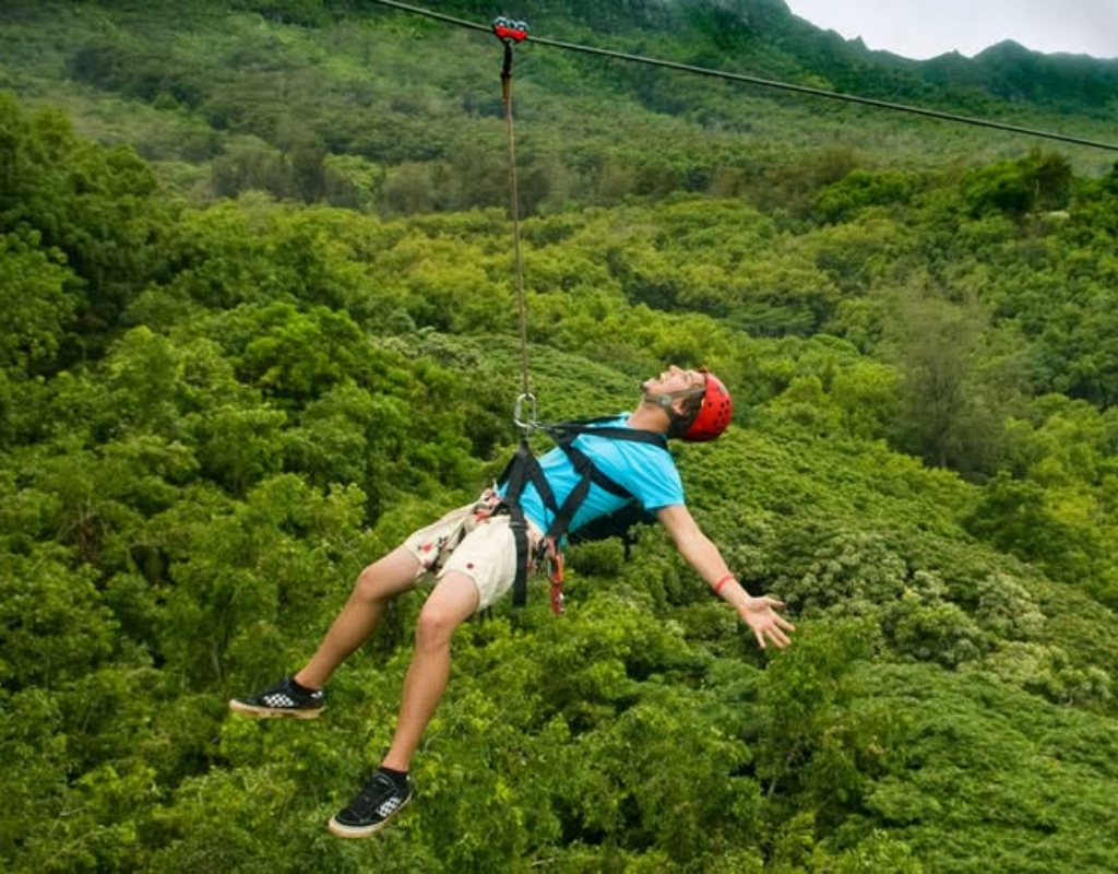  Challenge Yourself on the Zipline and High-wire Course