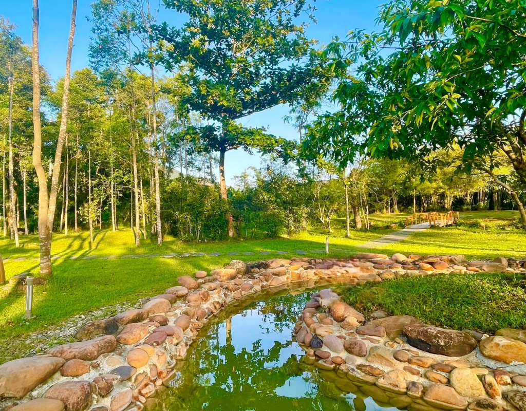 Explore the Beautiful Green Surroundings