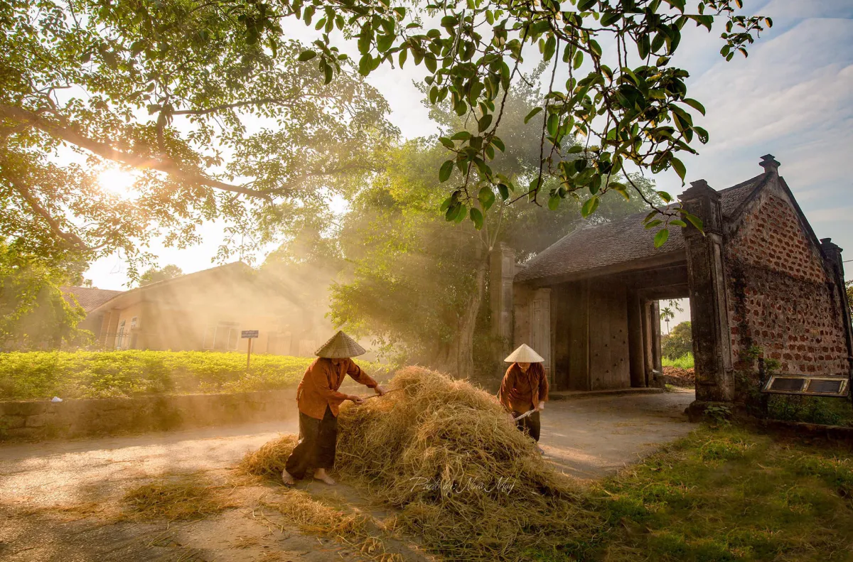 Vietnamese Cooking Class - Farming – Fishing Experience