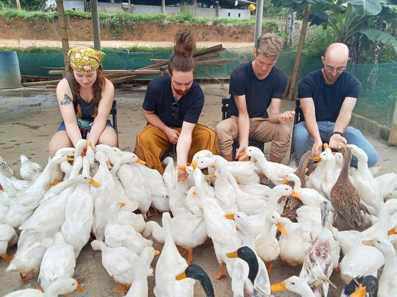 Visitors feeding ducks at Duck Stop Hoi An countryside farm