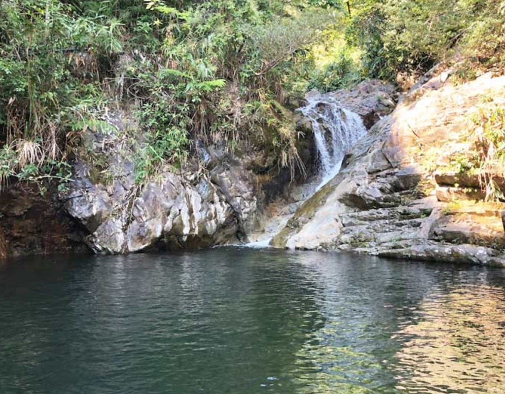 Try Fishing in the Nearby Streams