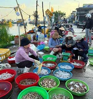Tho Quang Fishing Port