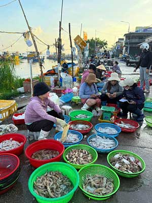 Tho Quang Fishing Port